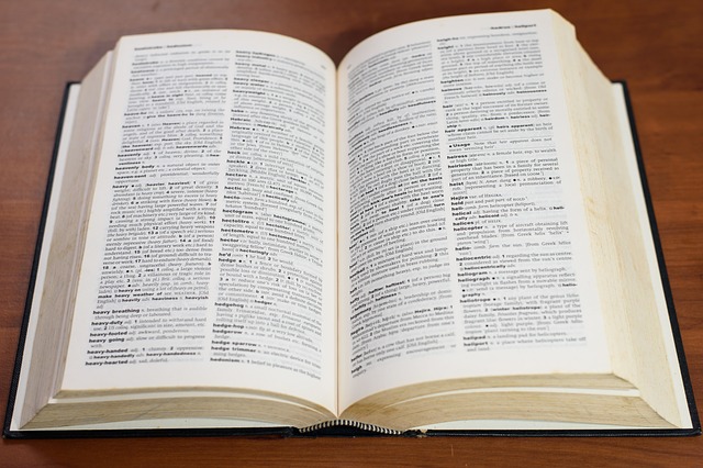 cizojazyčný slovník